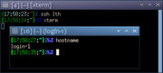 Openbox showing the application's host machine
